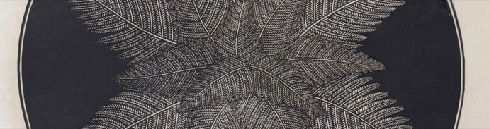 Accessions: Short Stories